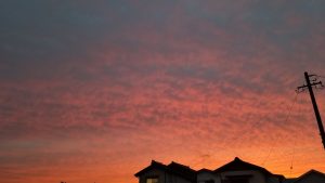 初めての天体観測の結果【天体観測 ブログ】 挿入画像