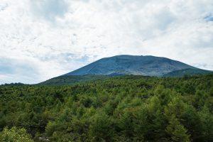 さくにゃあのぶろぐ 2 挿入画像
