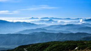 ねこの駐屯地とは 挿入画像