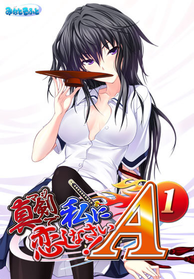 【真剣に私に恋しなさい！！ A-1】批評・感想［美少女ゲーム］