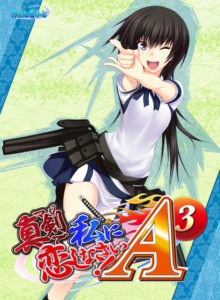 【真剣に私に恋しなさい！！ A-3】批評・感想［美少女ゲーム］
