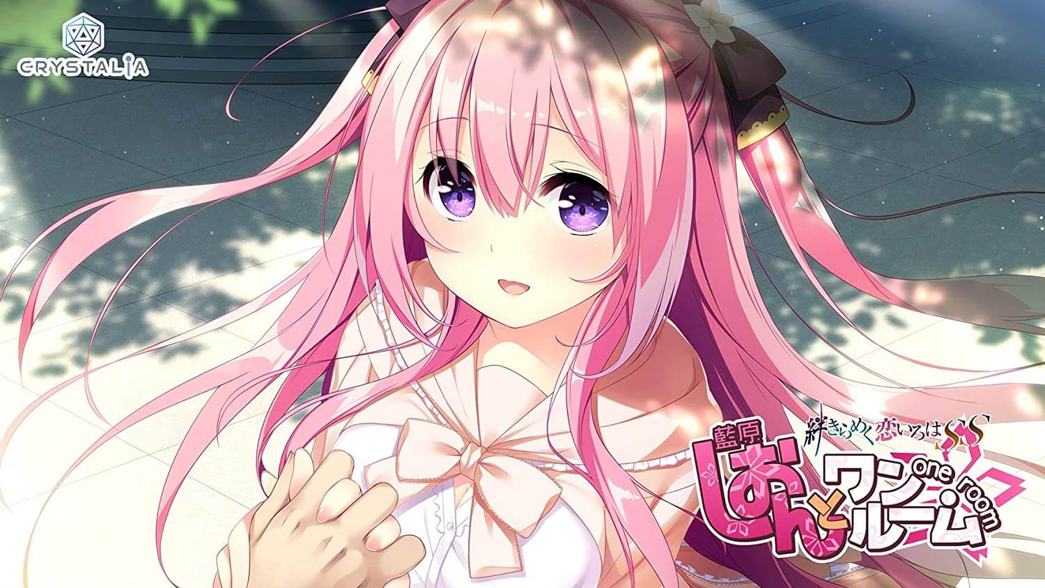 しおんとワンルーム