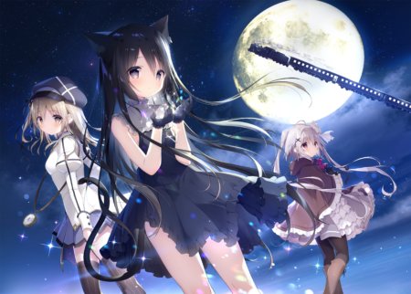 星空鉄道とシロの旅
