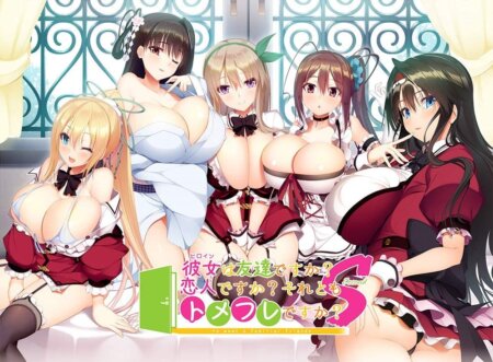 彼女は友達ですか? 恋人ですか? それともトメフレですか? Second