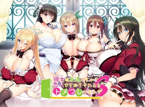 彼女は友達ですか? 恋人ですか? それともトメフレですか? Second