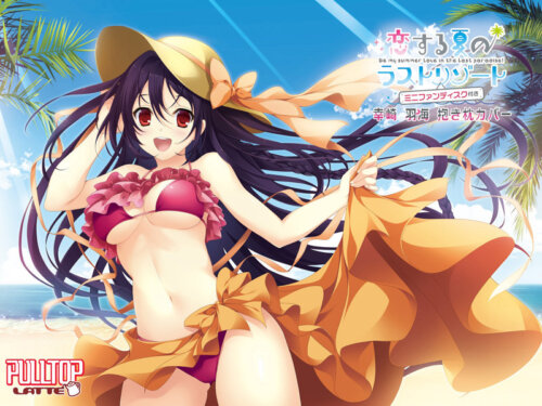 恋する夏のラストリゾート